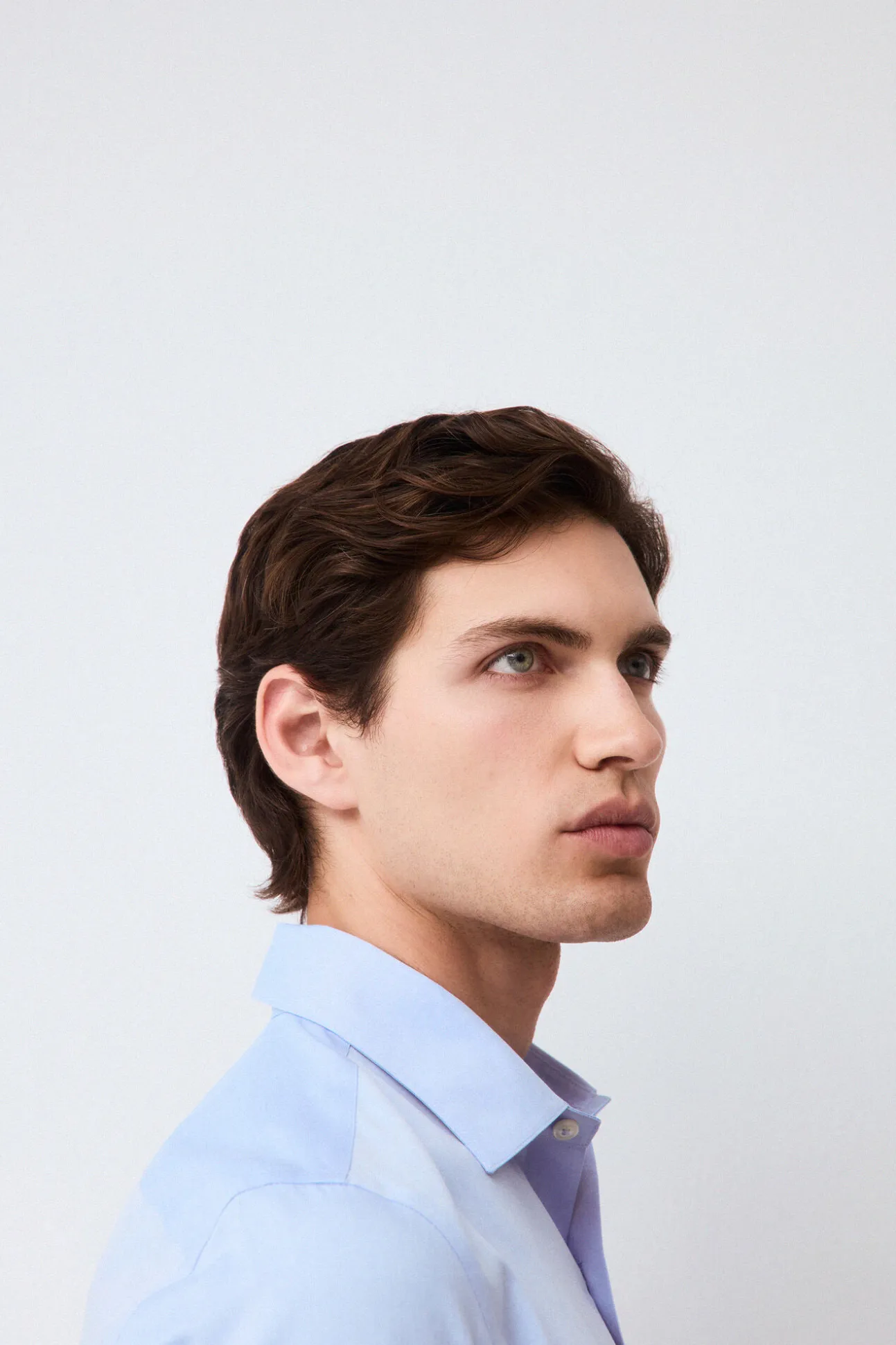 Camisa vestir lisa non iron + antimanchas slim fit