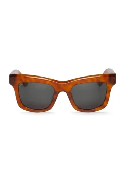 Gafas de sol Cedar - montauk - with classical lenses