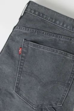 Pantalón vaquero 568™ Loose Straight Carpenter