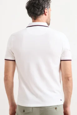 Polo Custom