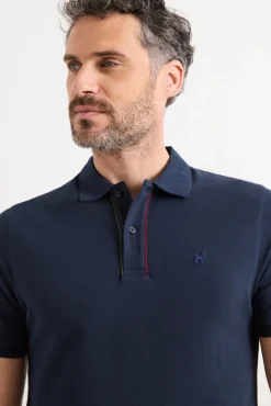 Polo Paw